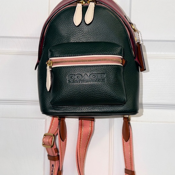 Coach Charter Backpack 18 In Colorblock Brass/amazon Green Multi C5286 - Picture 2 of 11